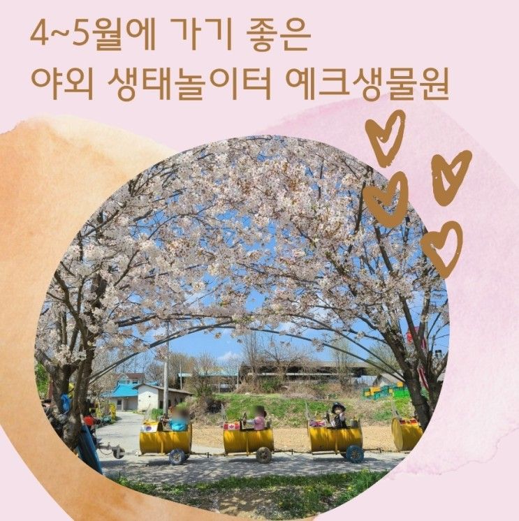 여주 아이랑 가볼만한 곳 여주 예크생물원(4월방문, 여주벚꽃명소)