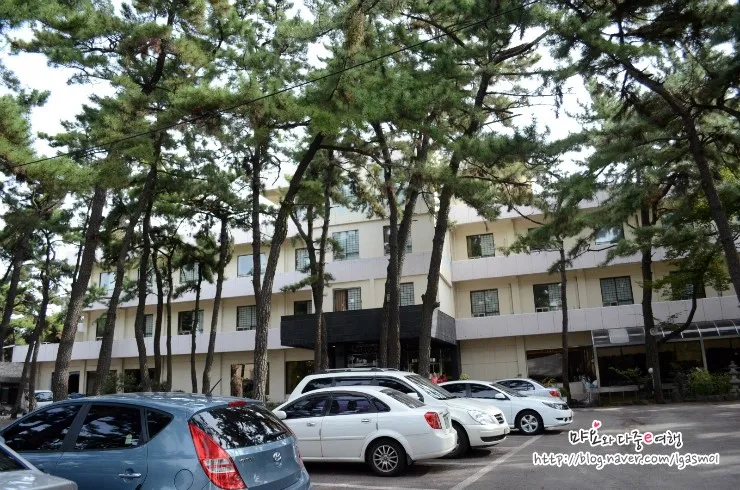 [경상도숙박/포항숙박/포항호텔]  코모도호텔 포항비치