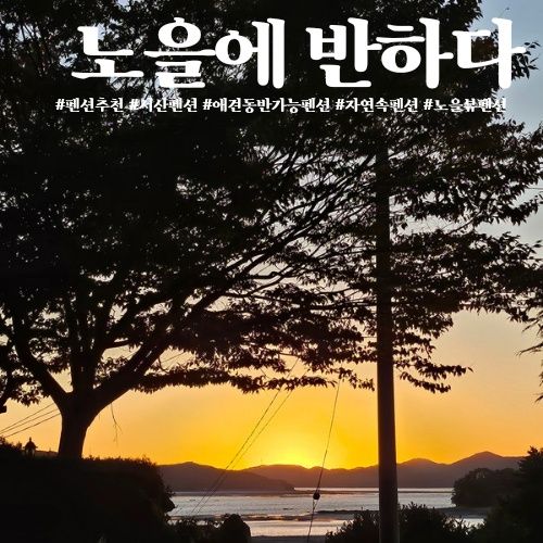 서산 애견 동반 가능한 펜션 '노을에 반하다'