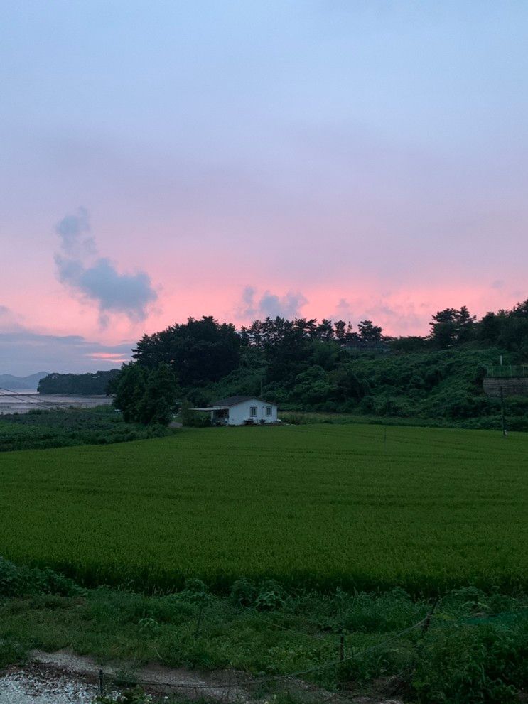 강아지 동반 서산, 당진 가볼만한 곳 1박 2일 가족 여행, 삽교호...