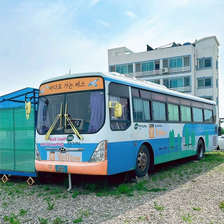 아이와 함께 강릉여행 버스 좋아하는 아이들 환장할 숙소