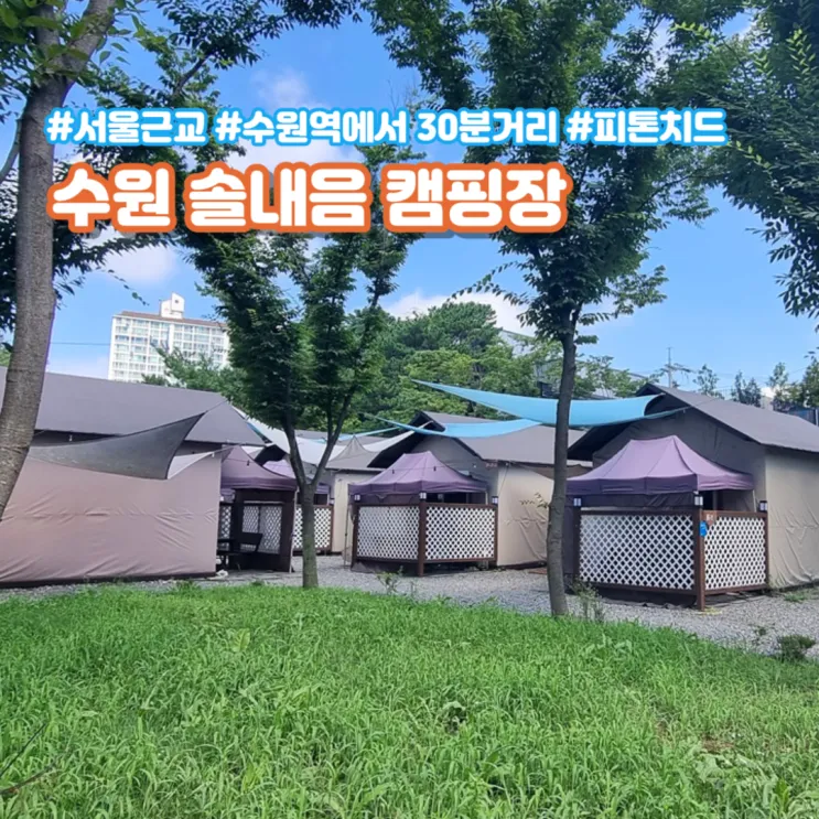 여행장소 추천! 바로 옆에 수목원까지 있는 수원 솔내음 캠핑장