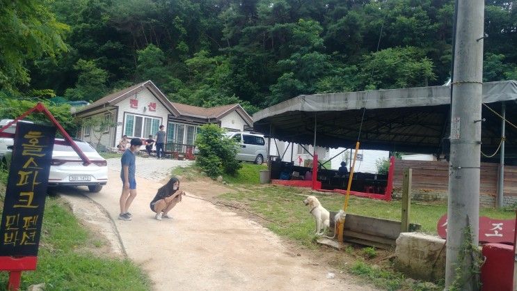 경북 안동 홀스파크 펜션 코로나 시대에 안심하고 놀다 왔네요~