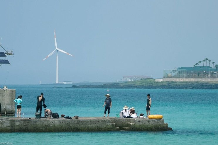 제주도 스노쿨링 명소 판포포구에 위치한 메가 리조트