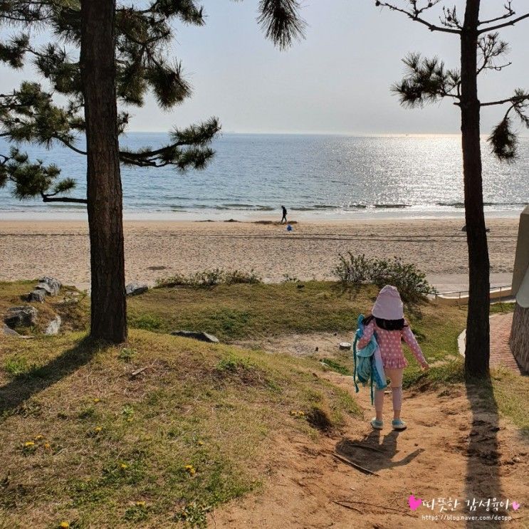 대천해수욕장 호텔 메리머드... 1박2일코스로 아이와 가볼만한...