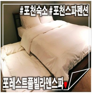 포천스파펜션 포레스트풀빌라앤스파 솔직후기(feat....