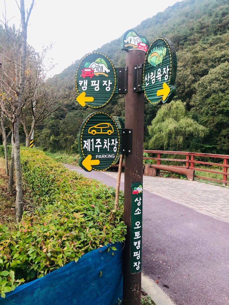 대전 상소동 산림욕장 (feat. 유아숲놀이터)
