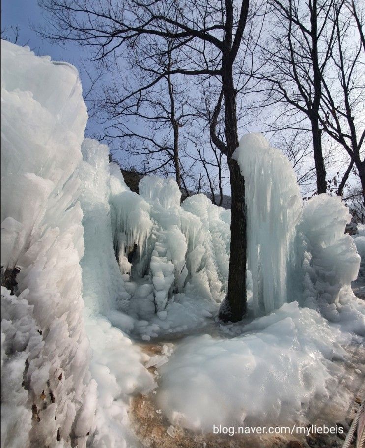겨울에 아이와 가볼만한곳 - 대전 상소동 산림욕장 얼음왕국