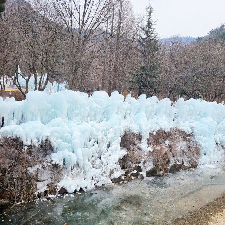 대전 겨울데이트 얼음왕국 상소동 산림욕장