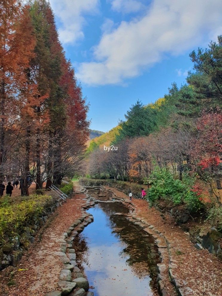 (아이와함께) 대전 상소동 산림욕장 | 숲놀이터