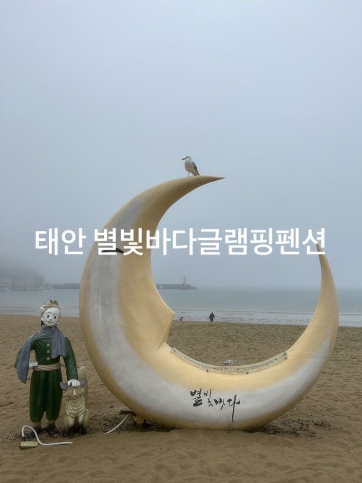 태안 바다 앞 오션뷰:) 아이랑 가기 좋은 ‘별빛바다글램핑펜션’