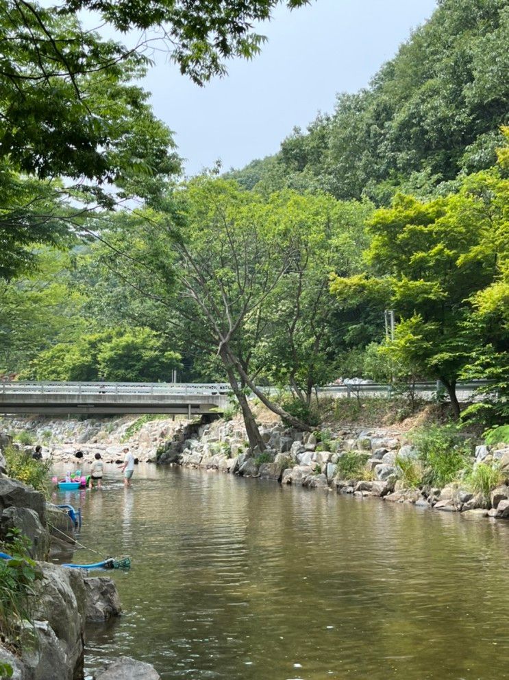 [서산] 아이와 함께 가기좋은 용현계곡, 이슬펜션 "서울가든"