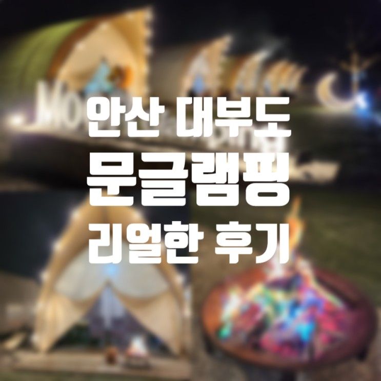 안산 대부도 "문글램핑" 후기│캠핑장 내부, 화장실, 온수...