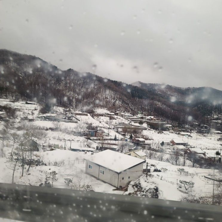 동기들과 떠난 가평 키즈 단독 풀빌라 펜션 가평 아이놀터 펜션