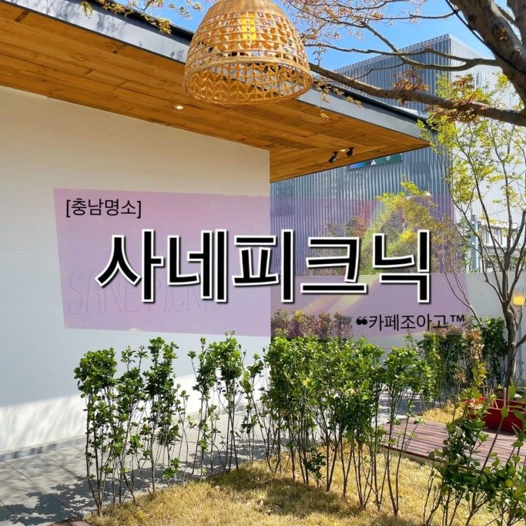 【충남명소】"사네피크닉":: 코시국에 분리된 공간에서 편히 즐길 수 있는 도심 속 피크닉룸 / 불당동소품샵 / 사네마켓 / 독채파티룸 / 천안피크닉 / 애견동반피크닉 / 예약방법