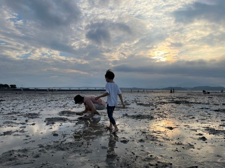 사천 아이와 갈만한 곳- 사천 무지개 해안 도로 갯벌체험 추천