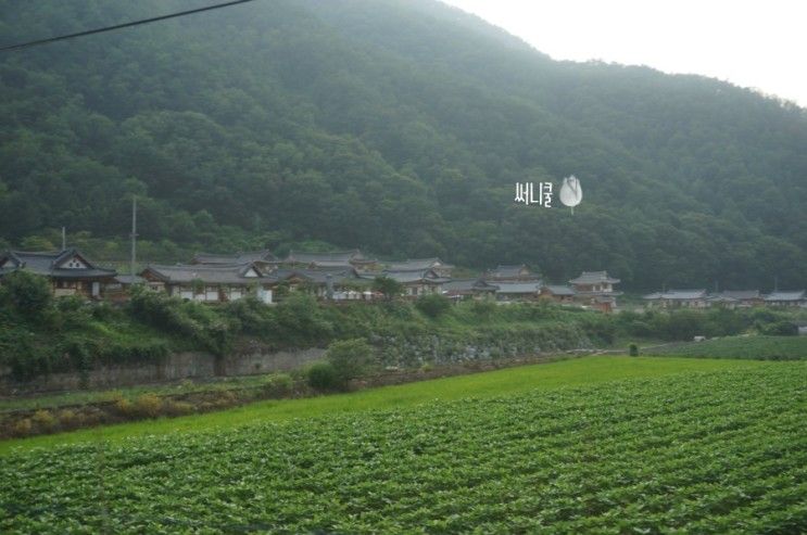 단양신축펜션 별빛한옥 최고의 선택이였어~ 완전 추천해요!