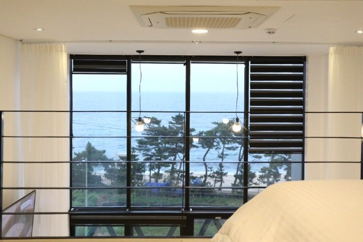 강릉펜션 멋진 해송과 푸른 바다가 앞에 있는 투썸펜션