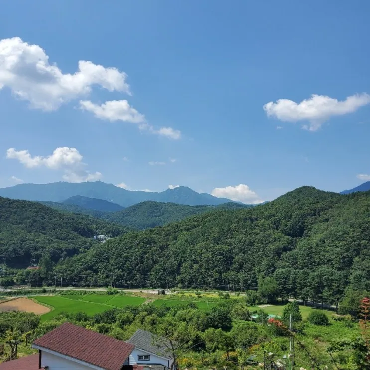 서울 근교 애견동반 펜션 추천 경기도 양평 팰리스리조트