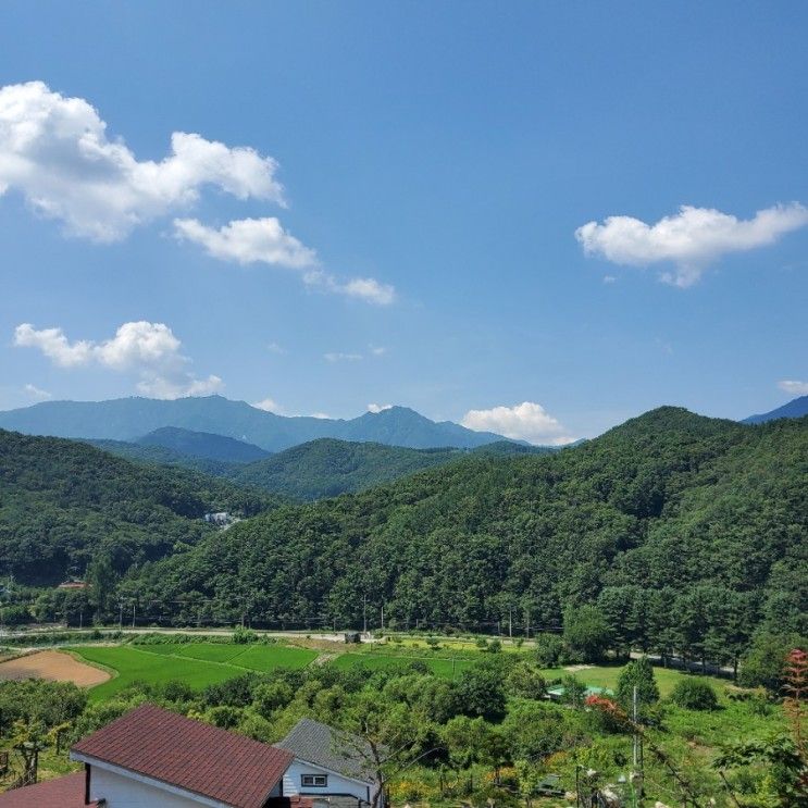 서울 근교 애견동반 펜션 추천 경기도 양평 팰리스리조트