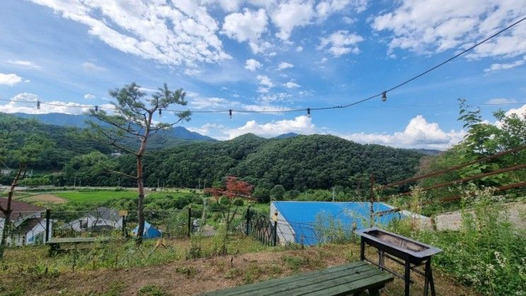 양평 애견 펜션 팰리스리조트 (서울근교)