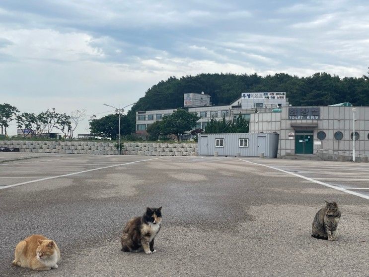 십리포힐링카라반 후기를 가장한 먹부림 기록