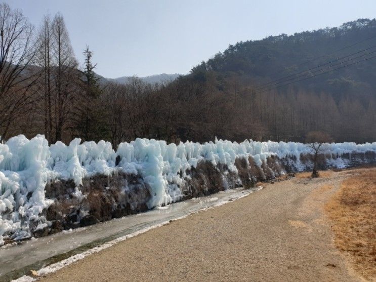 대전 상소동 산림욕장. 아이와 가기 좋은 곳.