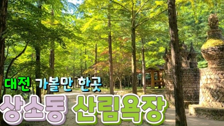 대전 가볼만한 곳 - 상소동 산림욕장_돌탑과 산책로가 예쁜곳