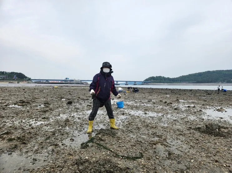 07~08) - 선재도갯벌체험, 블루라떼 펜션(풀빌라)...