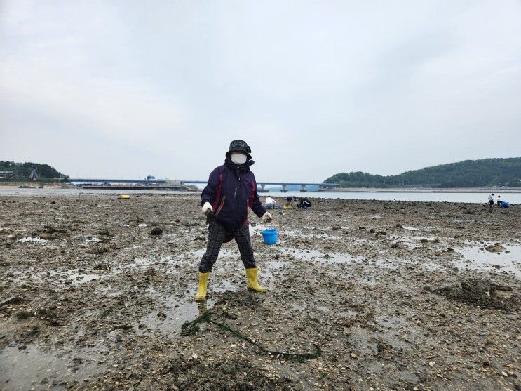 07~08) - 선재도갯벌체험, 블루라떼 펜션(풀빌라)...