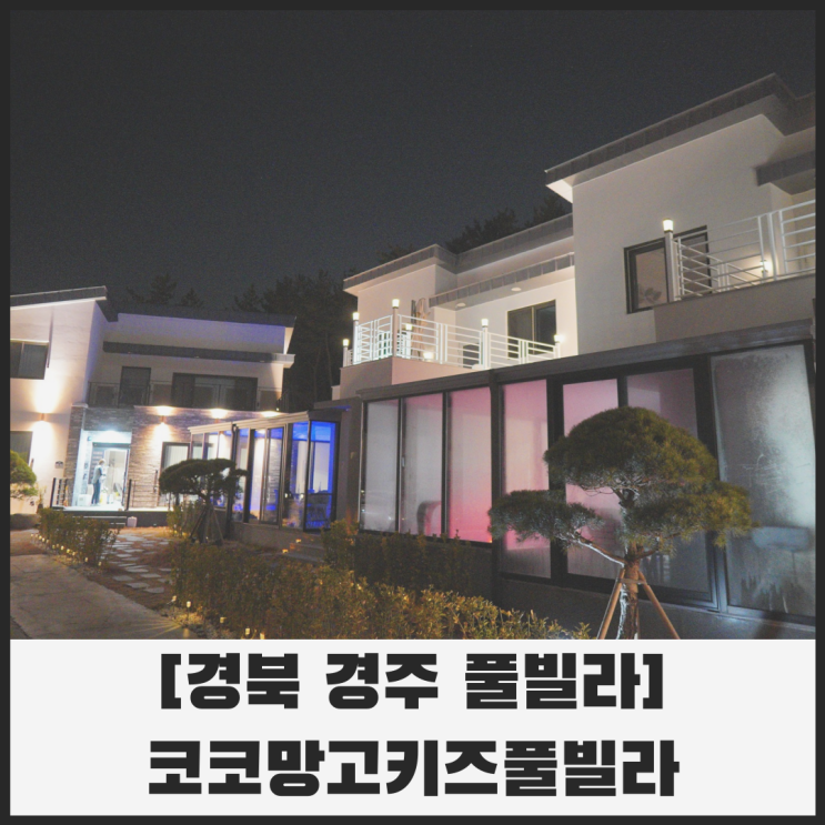 경주키즈카페 풀빌라 코코망고