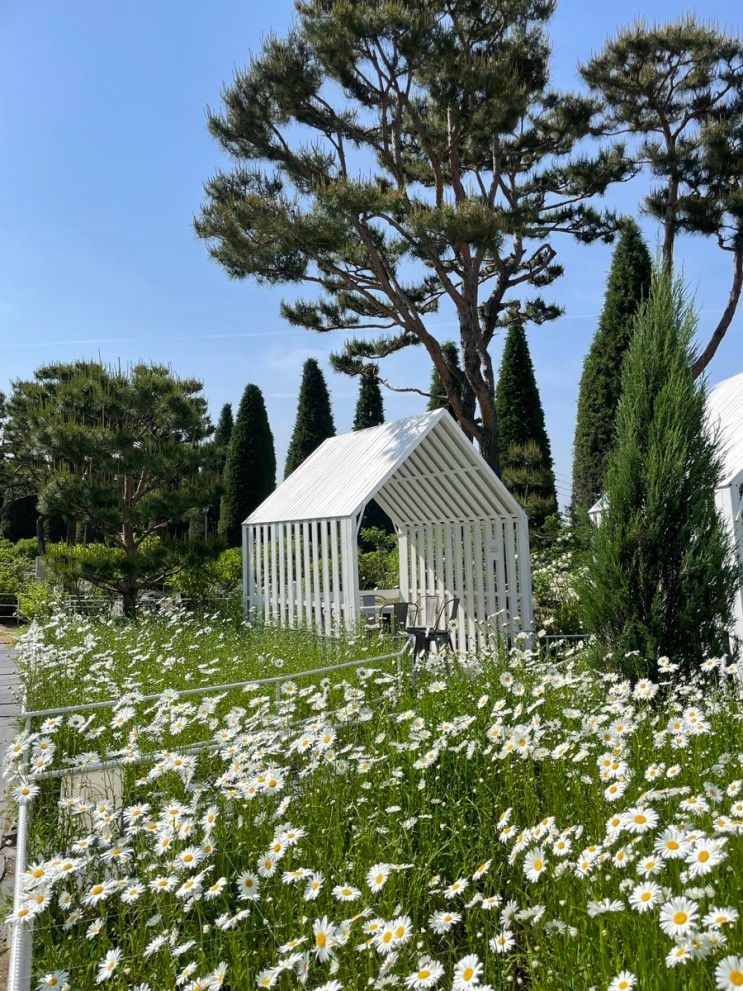 급 강화여행 1박2일 (강화 하이맘 키즈펜션 블랙 / 마호가니...