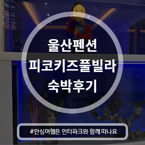 [국내여행] 울산 피코키즈풀빌라 정글북하우스 숙박후기