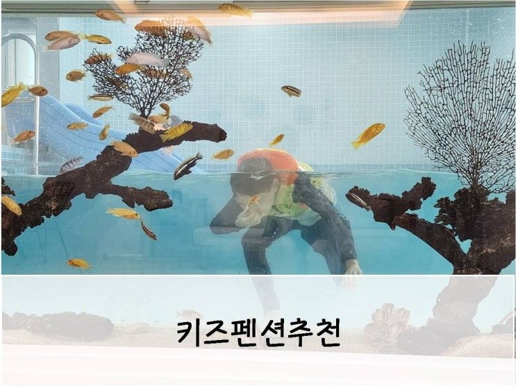 울산 키즈펜션 추천 피코 키즈풀빌라 찐만족 내돈내산