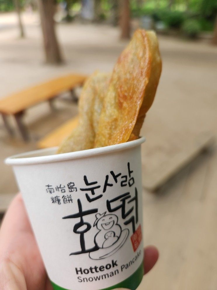 가평 여행 남이섬 + 하루키즈풀빌라