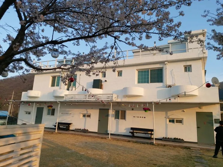 대구 군위 영천 근교에 위치한... 구비된 키즈펜션 시고로 1박 후기