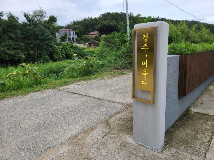 여름휴가) 개별 수영장이 있는 경주, 머물다 풀빌라 [내 돈 내산]