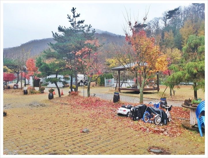 용인계곡카라반 용인계곡펜션 에이스펜션카라반 겨울 냄새가...