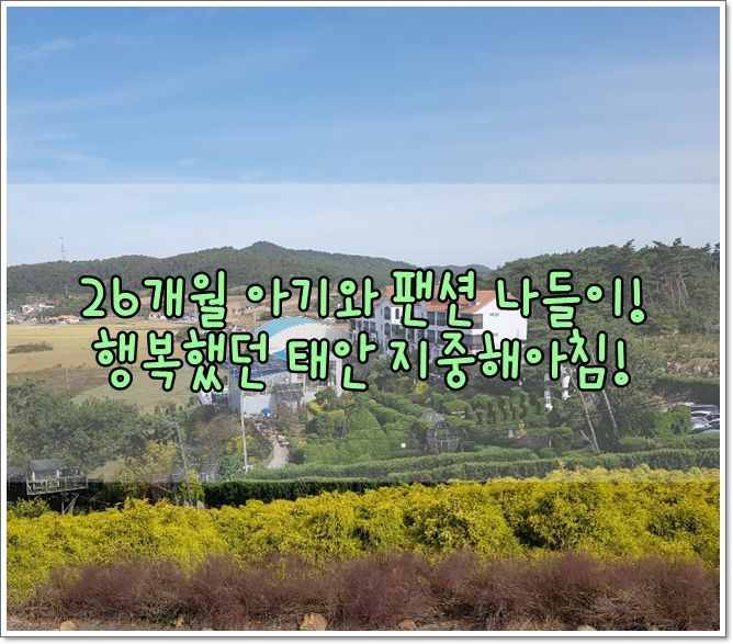 26개월 아기와 태안 지중해아침 펜션 1박 2일 나들이 !