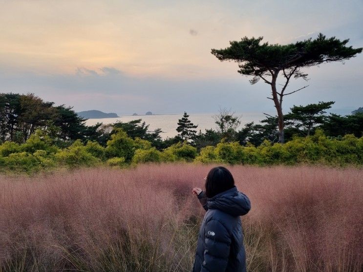 태안 안면도 수영장, 온수풀이 있는 지중해아침펜션