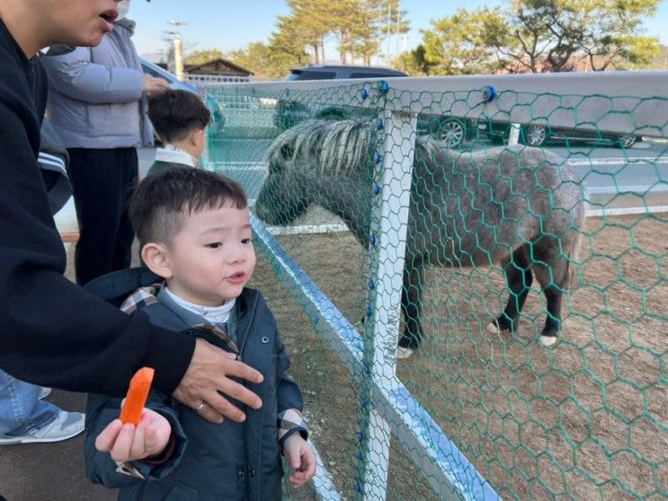 경주여행 아이랑 성호리조트 2박 솔직한 후기