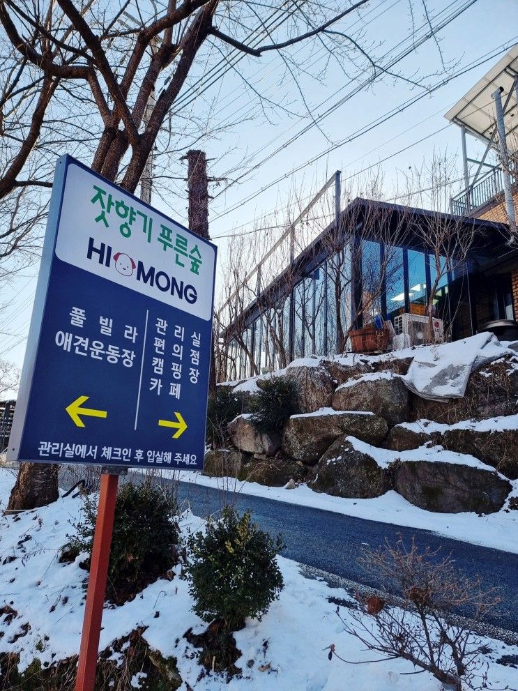 [가평] 하이몽애견풀빌라/애견풀빌라/강아지동반수영장...