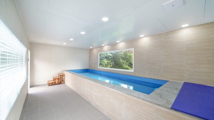 가평애견풀빌라 하이몽애견풀빌라펜션...