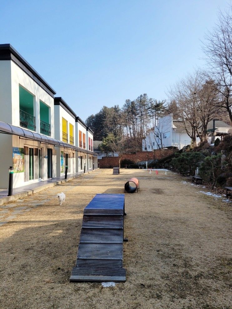 깨끗한 애견펜션 강아지운동장있는 가평하이몽 애견동반풀빌라