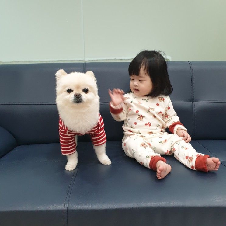 가평애견키즈펜션 하이몽 선택 후회없어