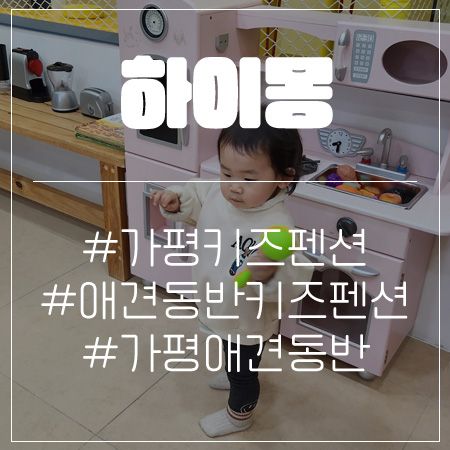 가평 하이몽 애견키즈펜션, 애견동반 가능한 키즈펜션