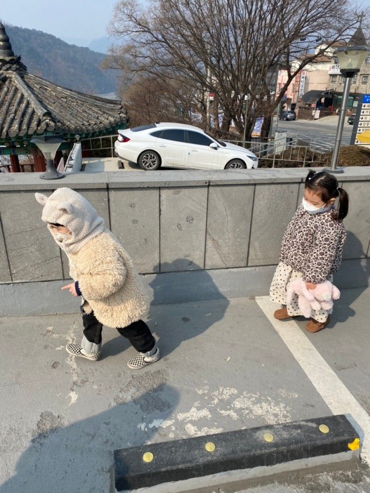 2022.02.26-28 꼬꼬마들과 단양 여행(다원, 단양정, 도담삼봉...