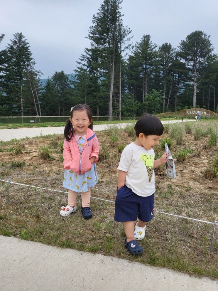 [둥이여행] 가평 1박 2일(feat.라무키즈글램핑&가평양떼목장)...