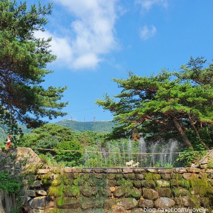 충남 서산 계곡 펜션 '자연의소리펜션' 솔직 후기(+펜션 내...