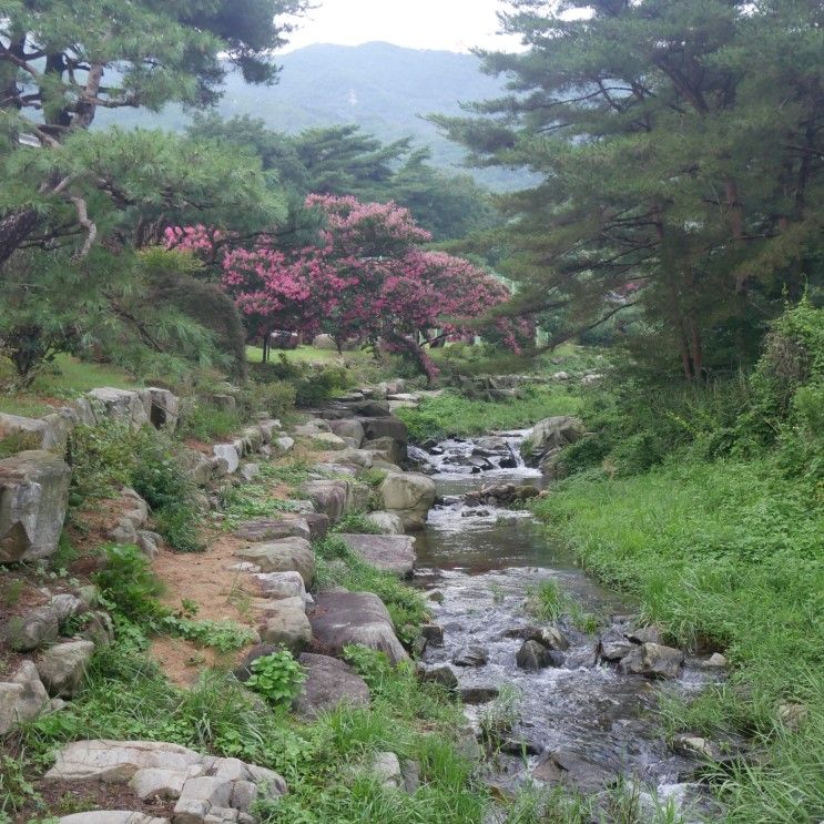 [서산숙소] 산수리계곡 자연의소리펜션 - 풀잎소리+갈대소리...